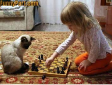 Girl plays chess with cat
